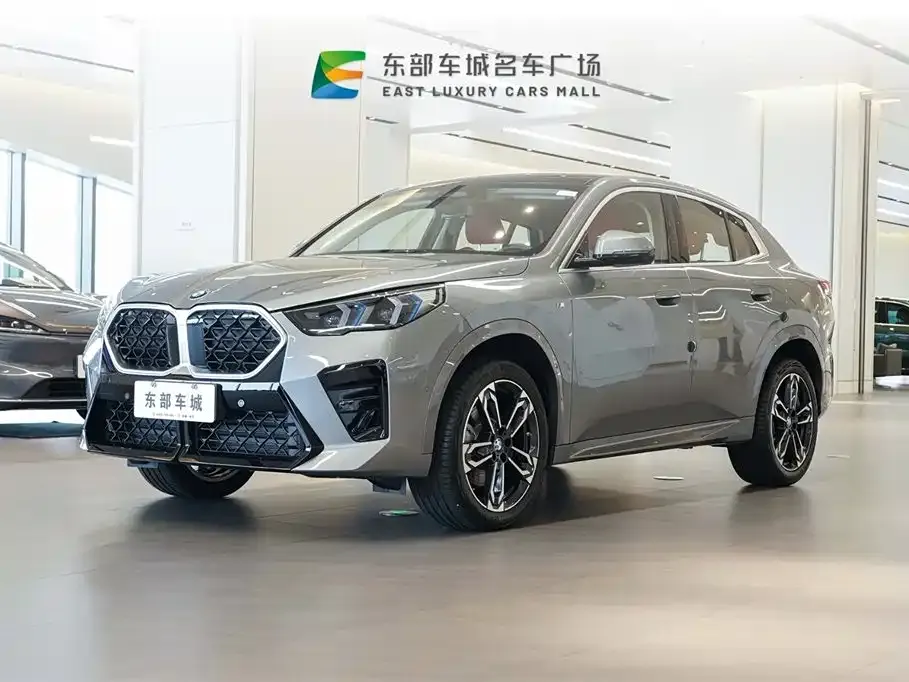 BMW X2 (Import) — фото 1