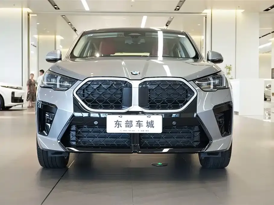 BMW X2 (Import) — фото 2