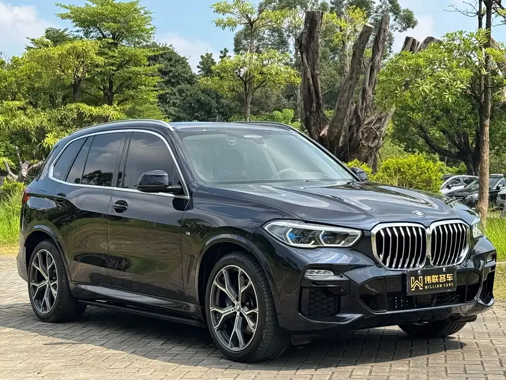 BMW X5 (Import) — фото 3