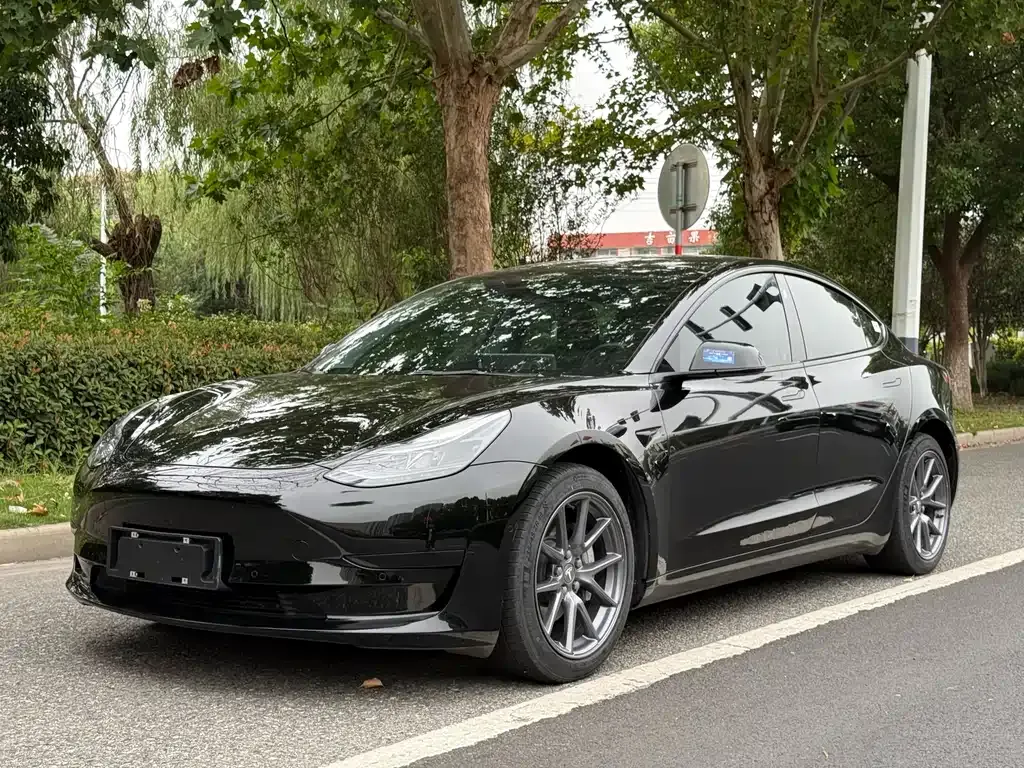 Tesla Model 3 — фото 1