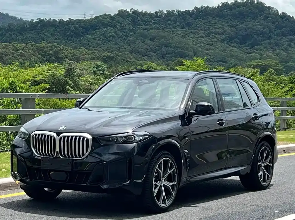 BMW X5 — фото 1