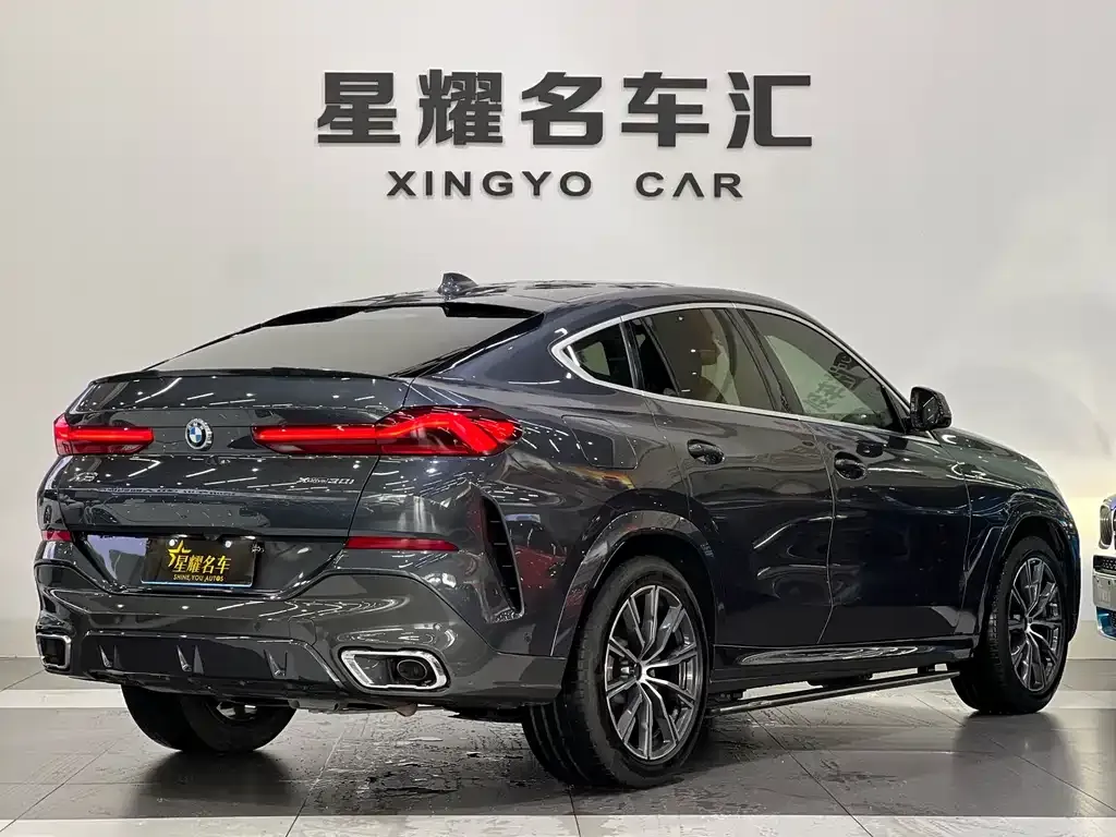BMW X6 — фото 8