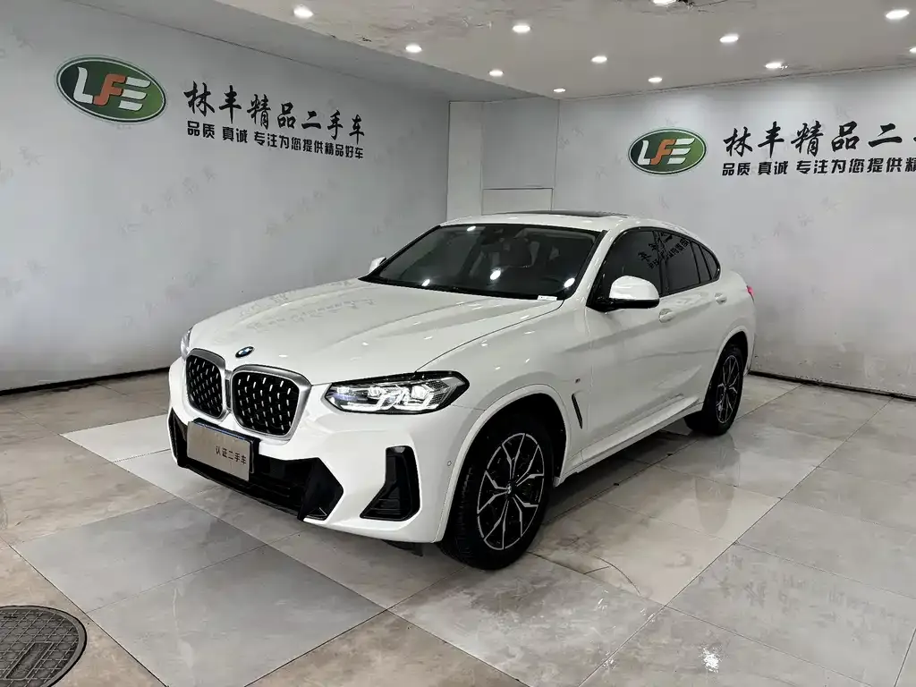 BMW X4 — фото 1