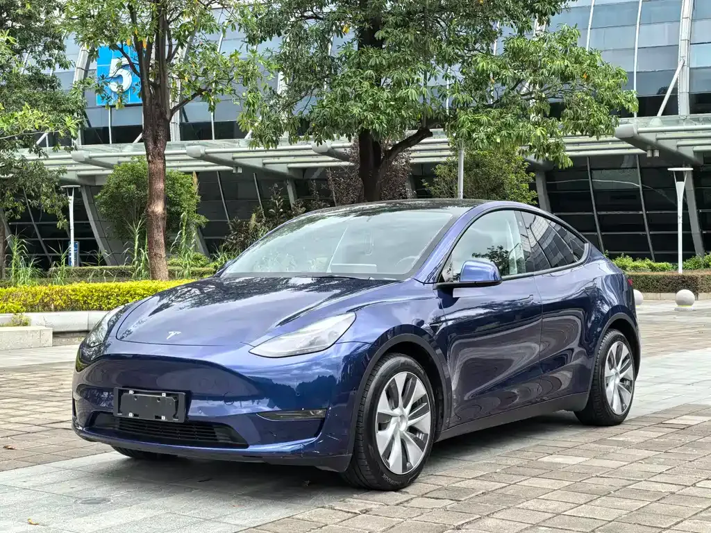 Tesla Model Y — фото 1