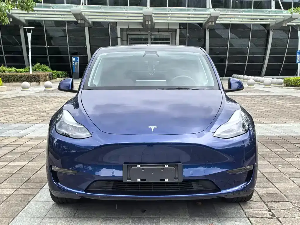 Tesla Model Y — фото 2