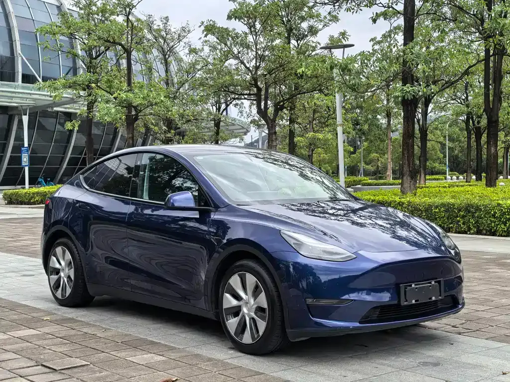 Tesla Model Y — фото 3