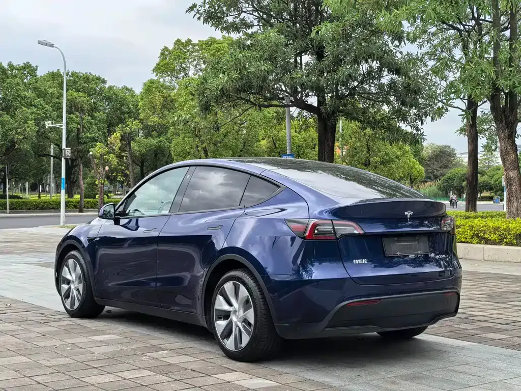 Tesla Model Y — фото 7
