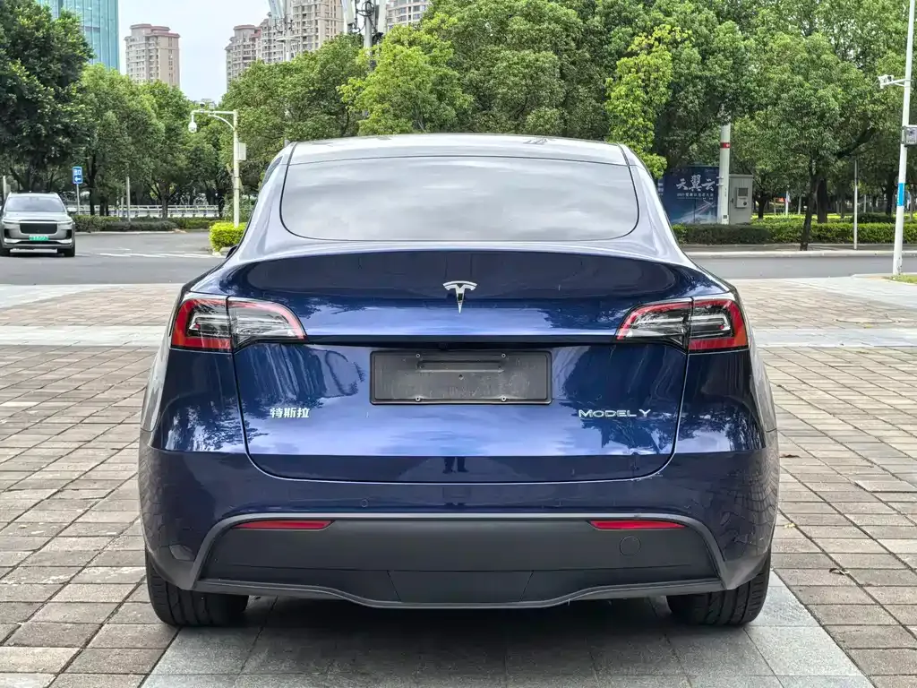 Tesla Model Y — фото 8