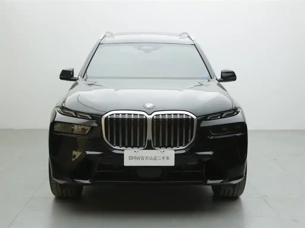 BMW X7 — фото 2