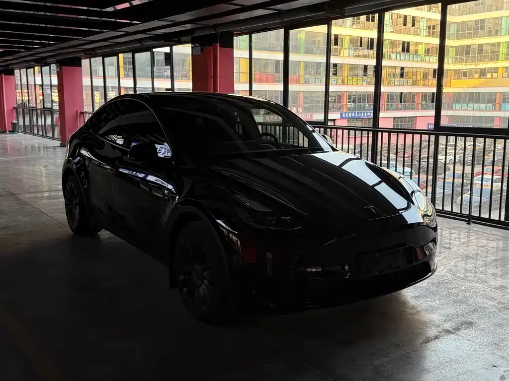 Tesla Model Y — фото 2