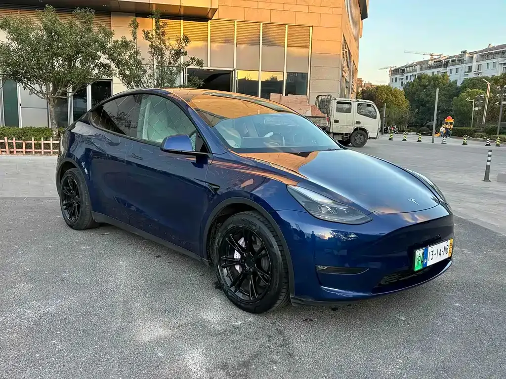 Tesla Model Y — фото 3