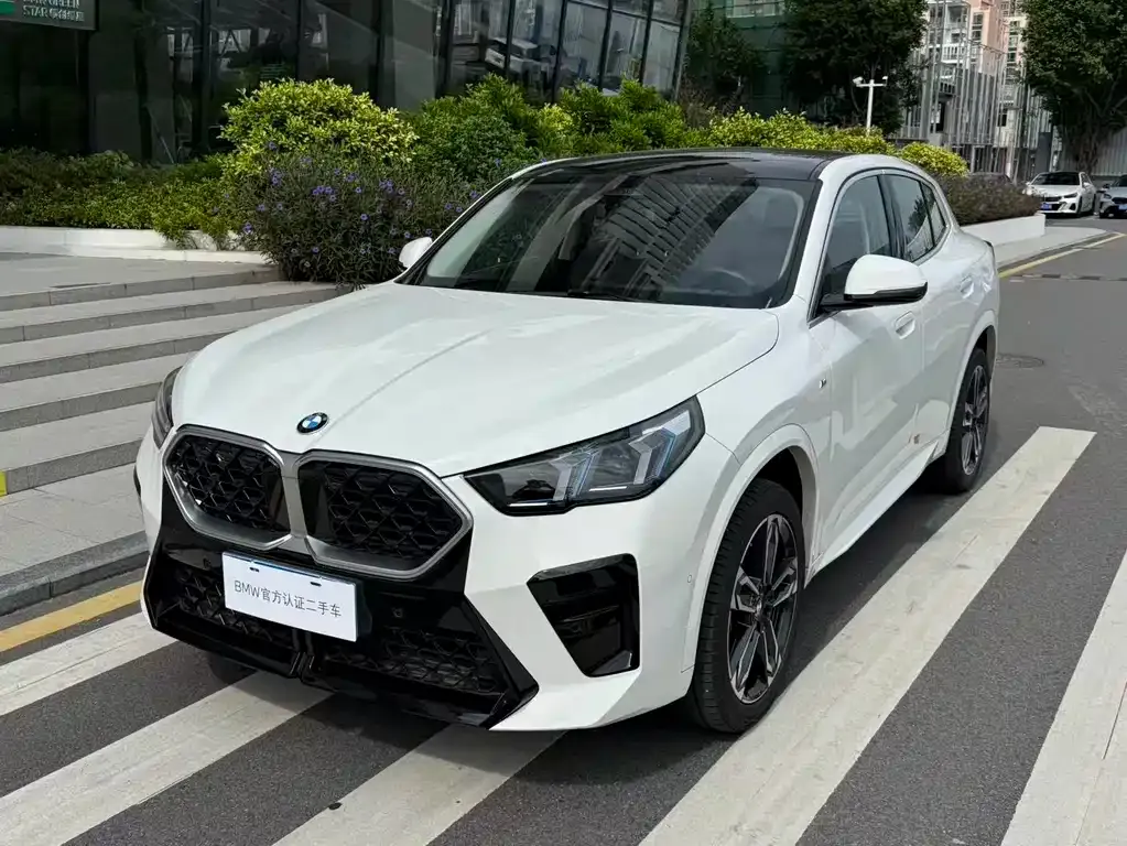 BMW X2 (Import) — фото 1