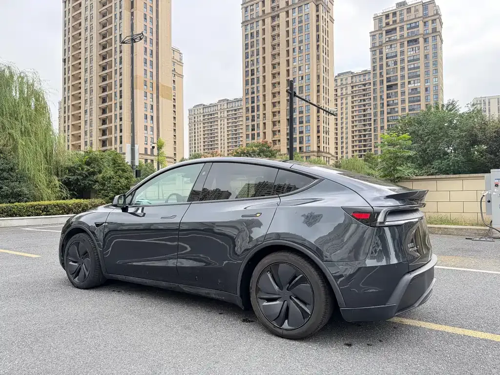 Tesla Model Y — фото 3
