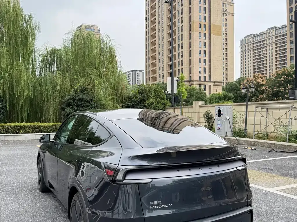 Tesla Model Y — фото 4
