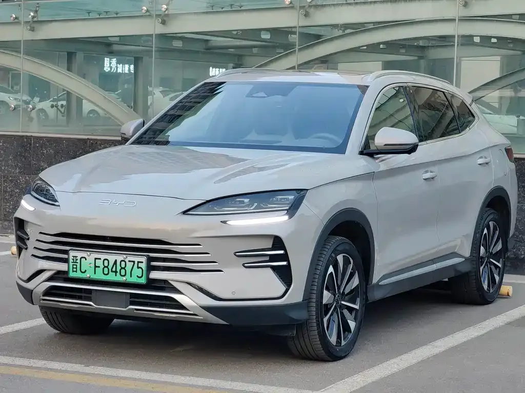 BYD PLUS New Energy — фото 1