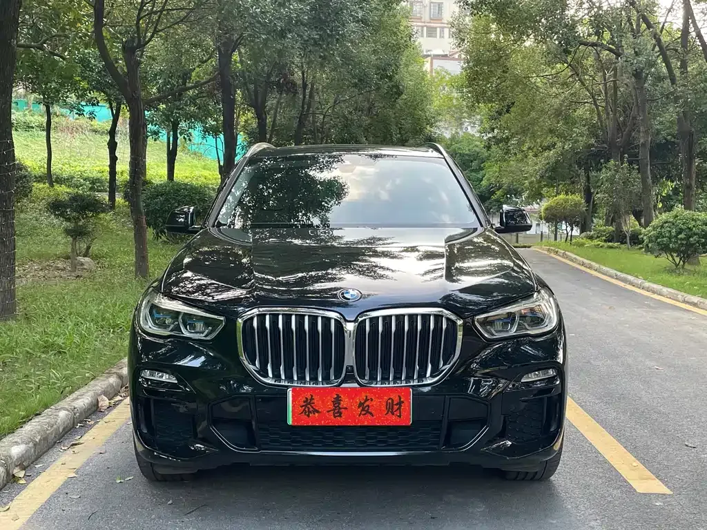 BMW X5 New Energy (Import) — фото 3