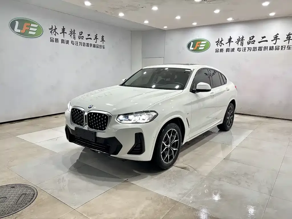BMW X4 — фото 1