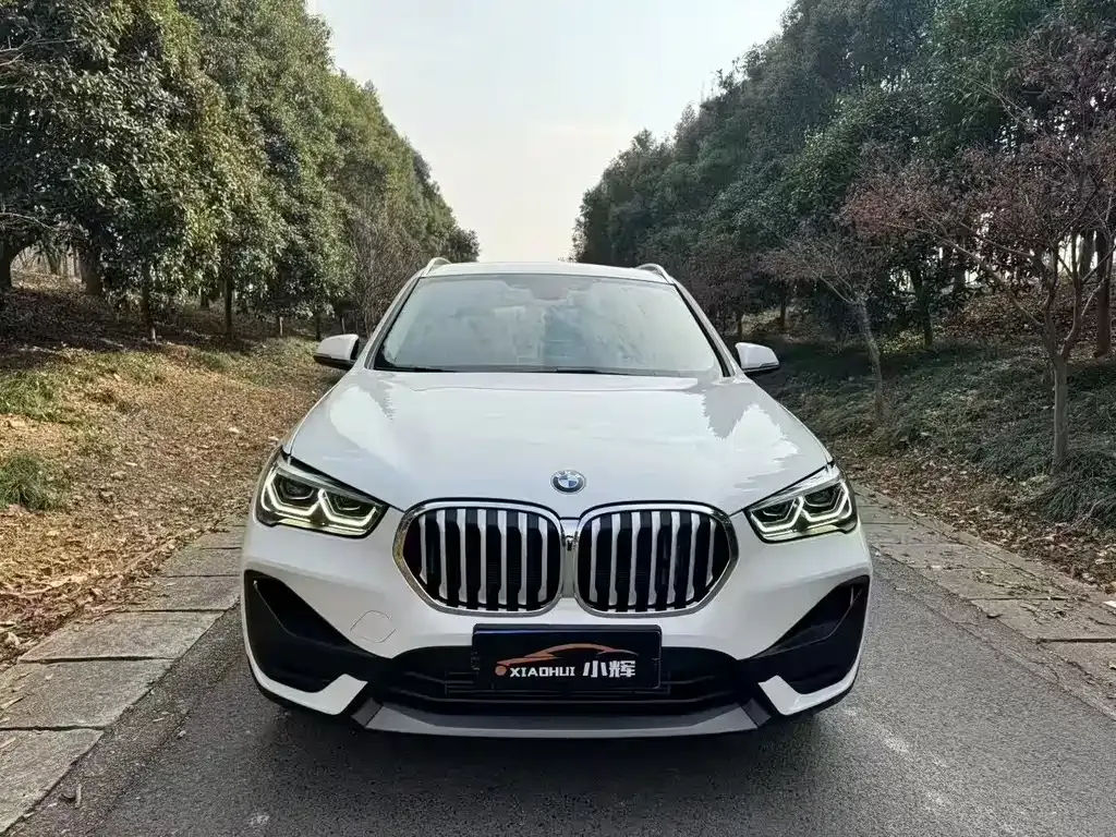 BMW X1 — фото 1