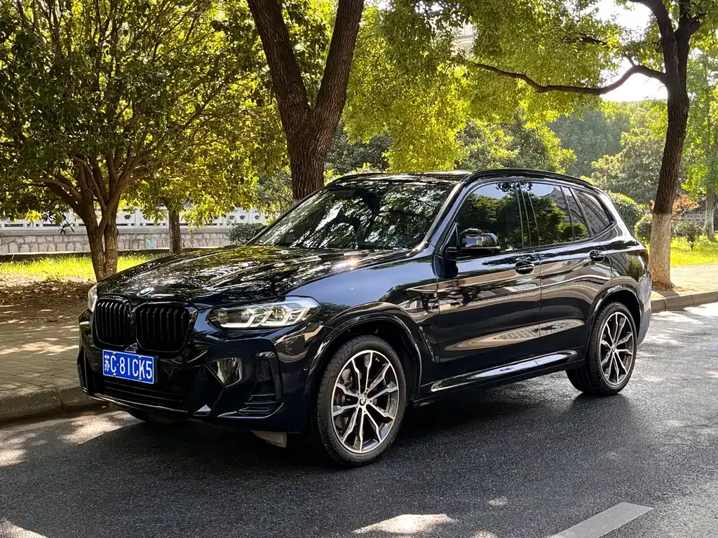 BMW X3 — фото 1