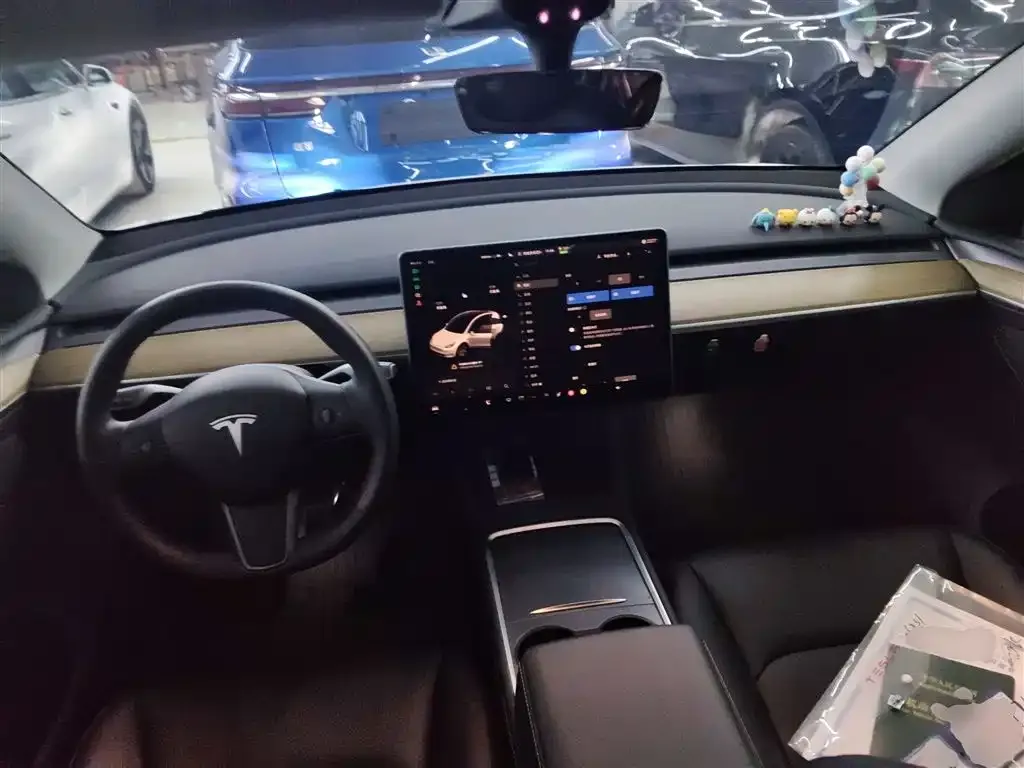 Tesla Model Y — фото 10