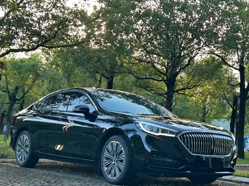 Hongqi H5 — фото 3