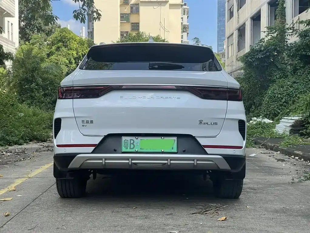 BYD PLUS New Energy — фото 4