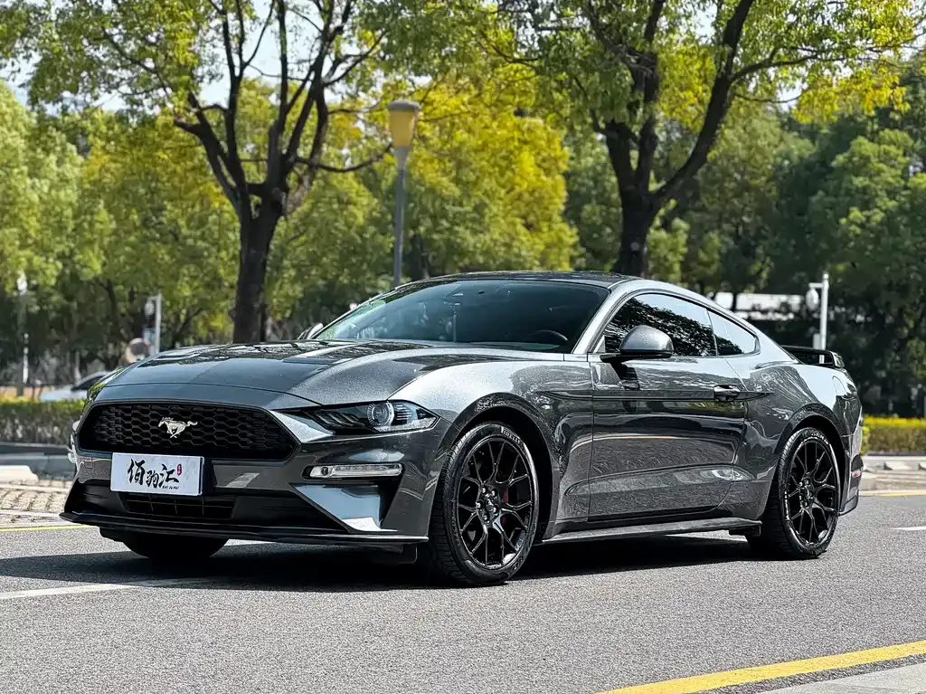 Ford Mustang — фото 1