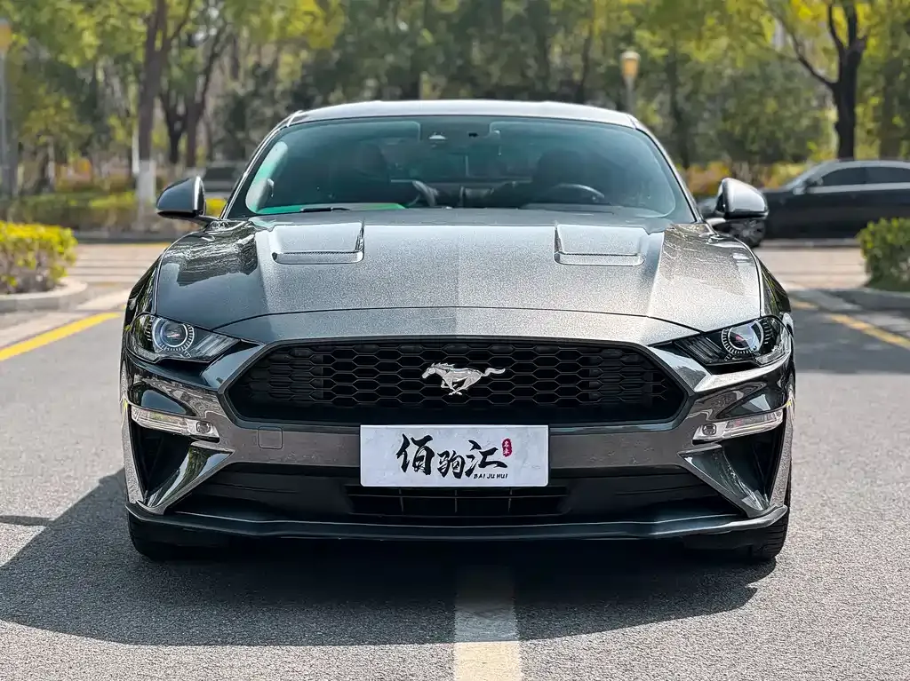 Ford Mustang — фото 2
