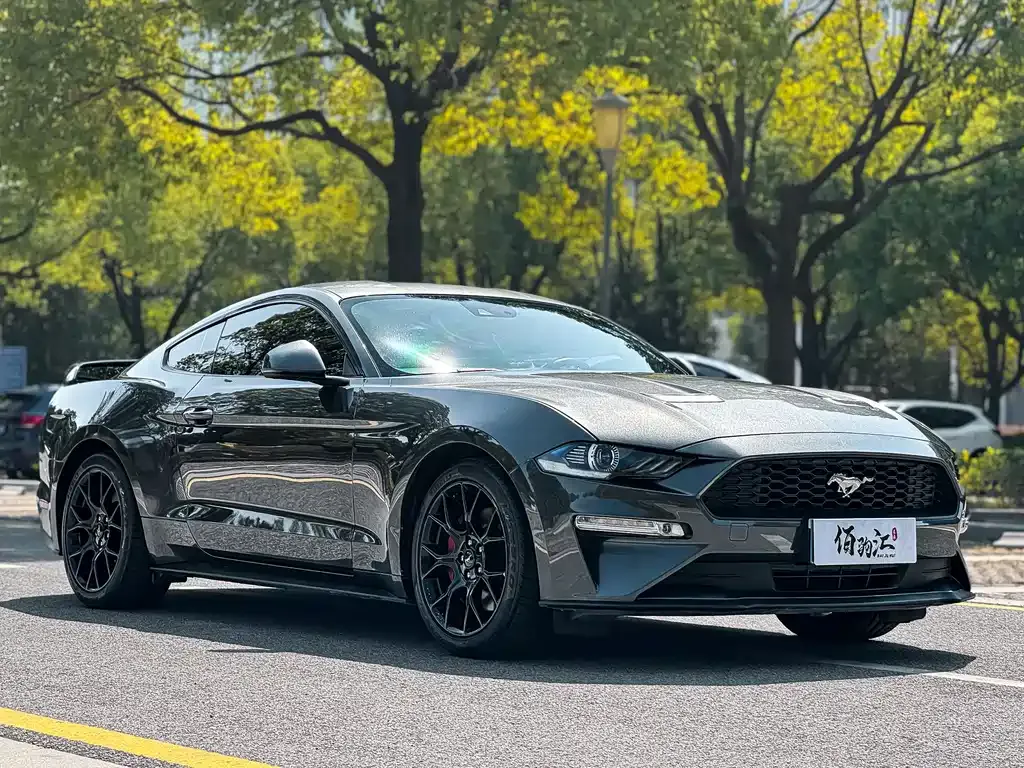 Ford Mustang — фото 3