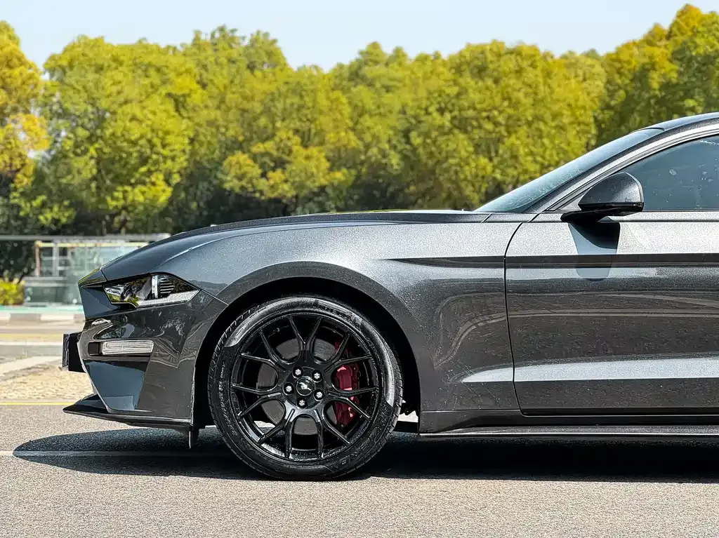 Ford Mustang — фото 5