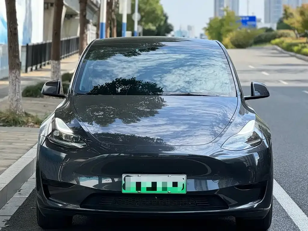 Tesla Model Y — фото 2