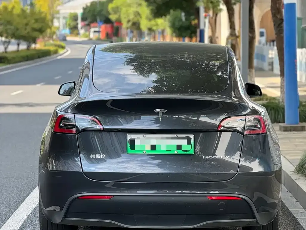 Tesla Model Y — фото 3