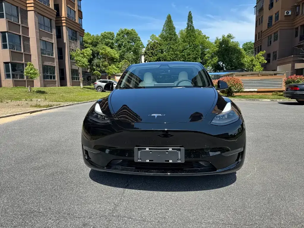 Tesla Model Y — фото 2