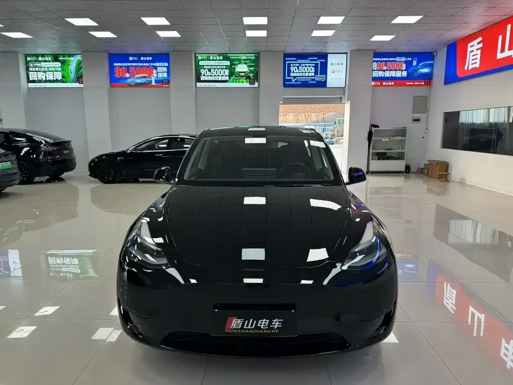 Tesla Model Y — фото 2