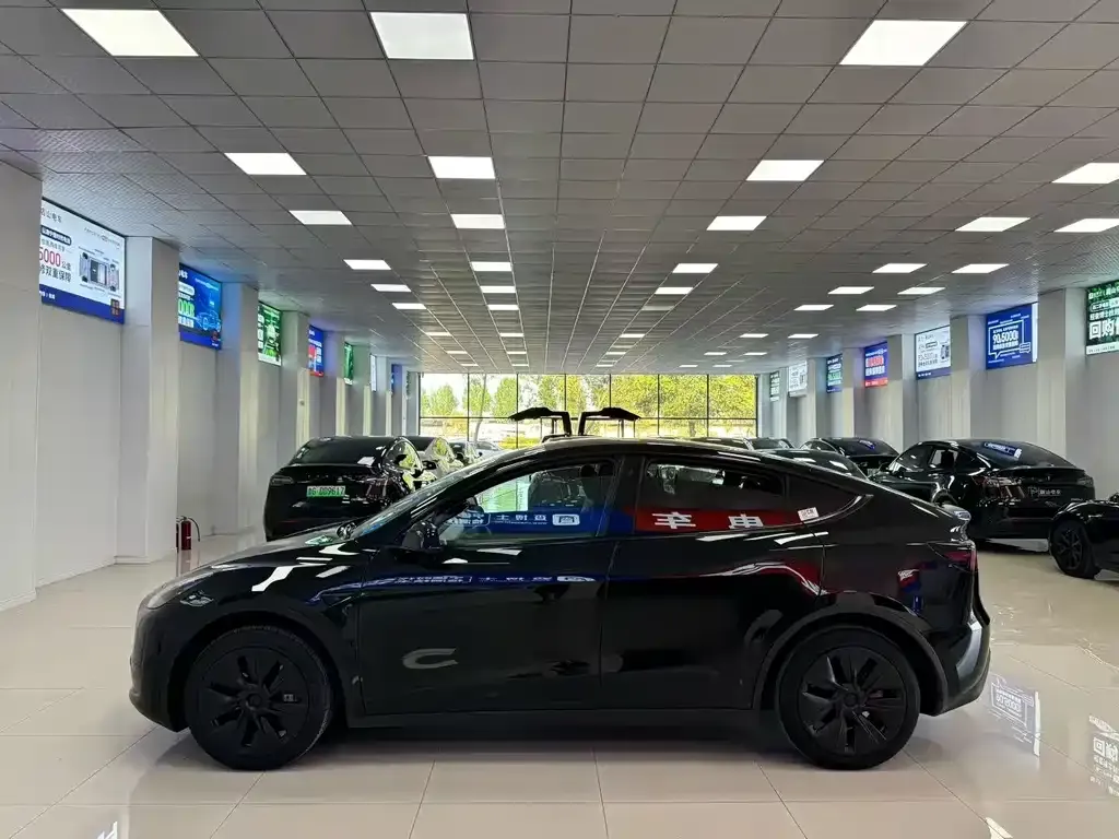 Tesla Model Y — фото 3