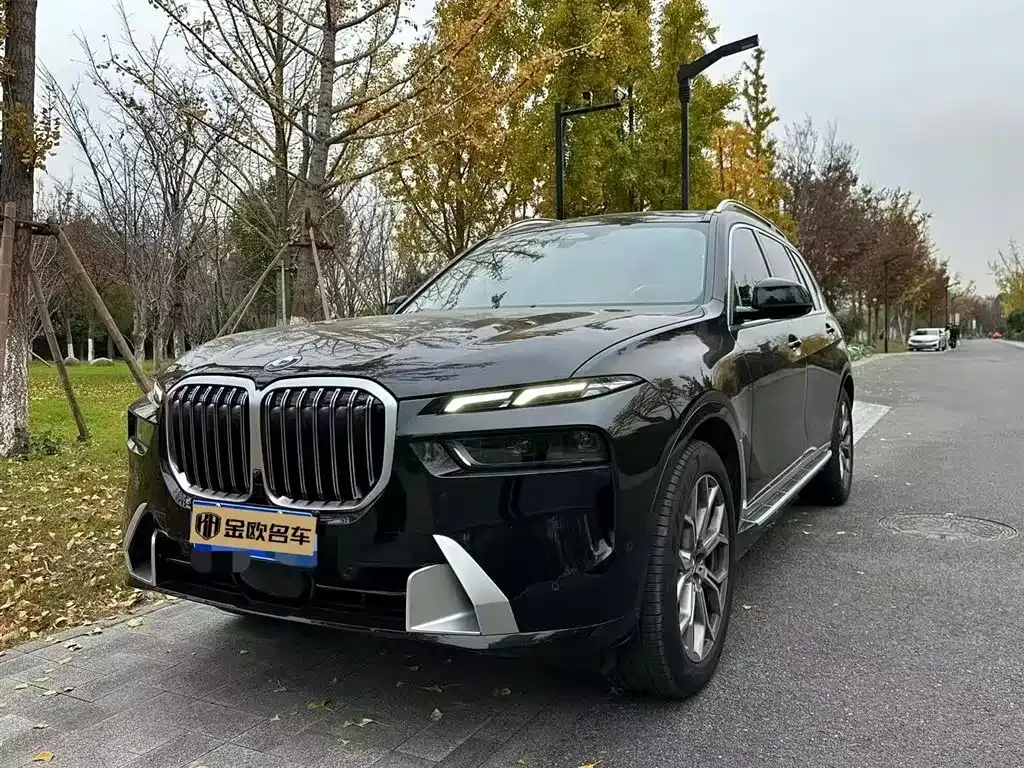 BMW X7 — фото 1