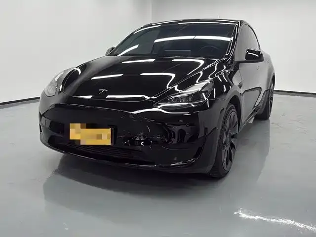Tesla Model Y — фото 1