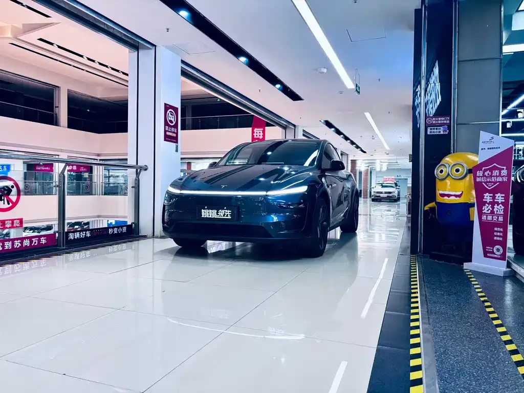 Tesla Model Y — фото 1