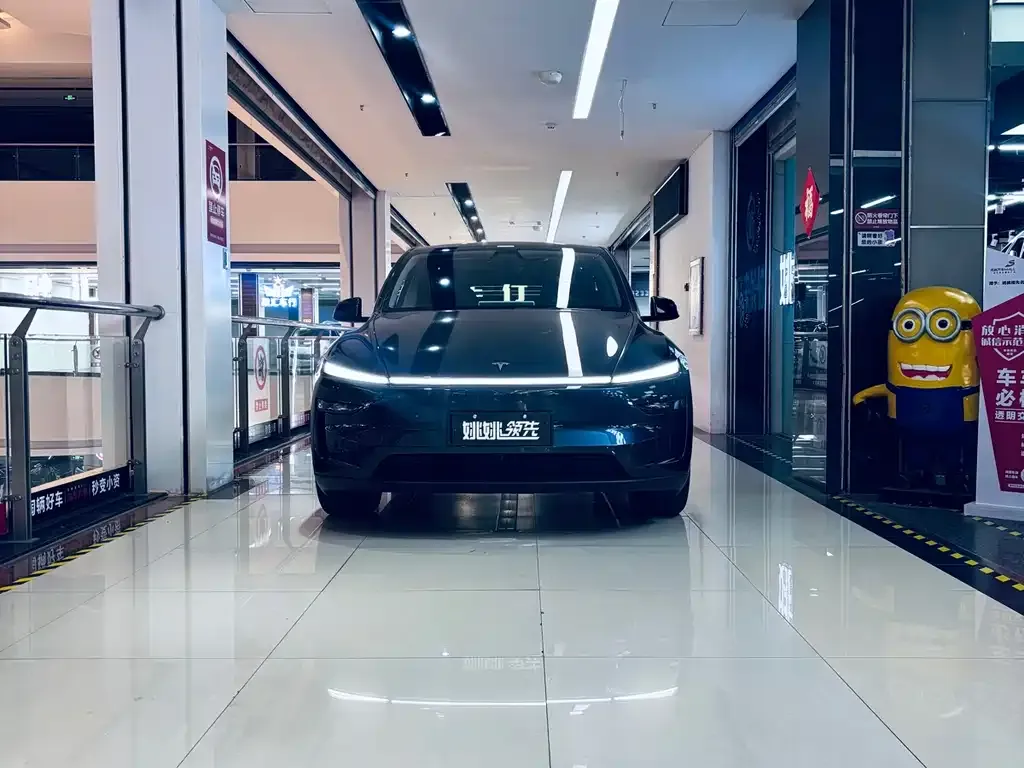 Tesla Model Y — фото 2