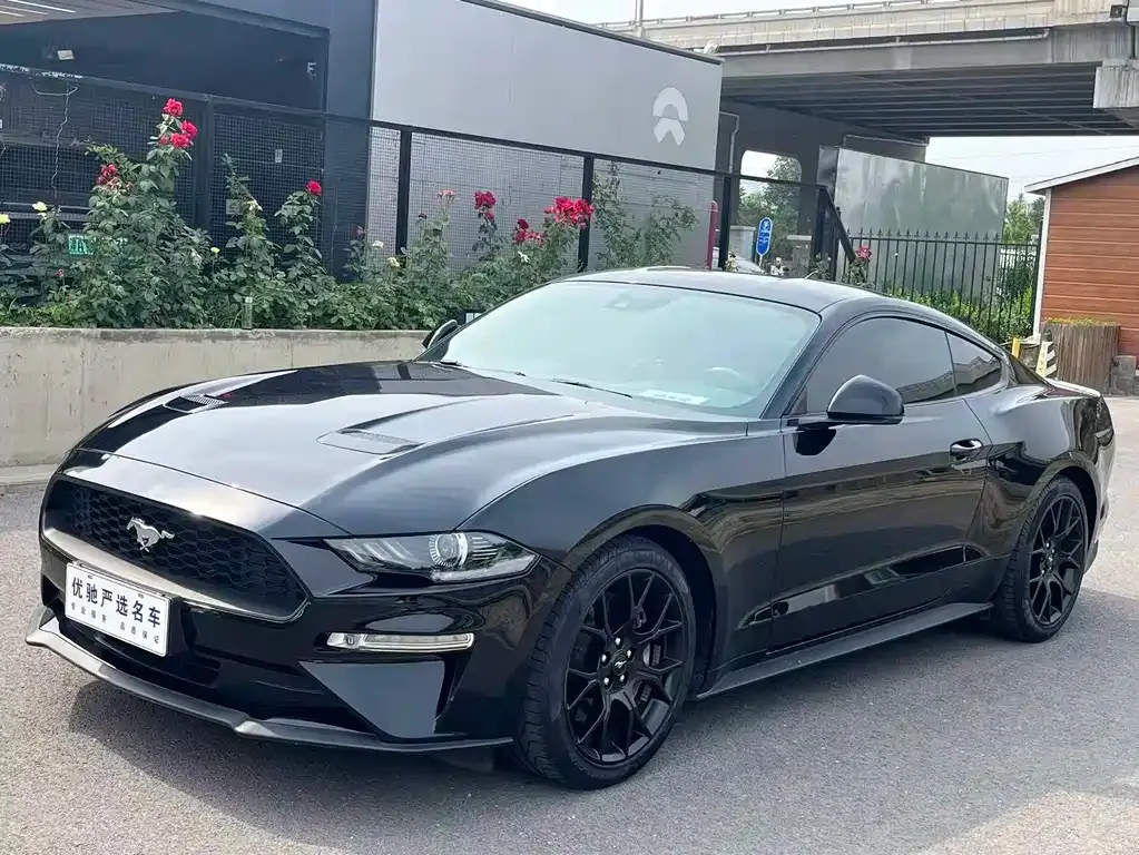 Ford Mustang — фото 1