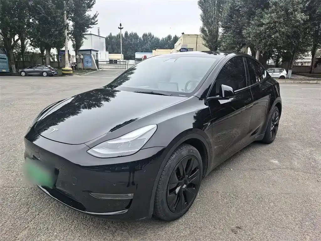 Tesla Model Y — фото 1
