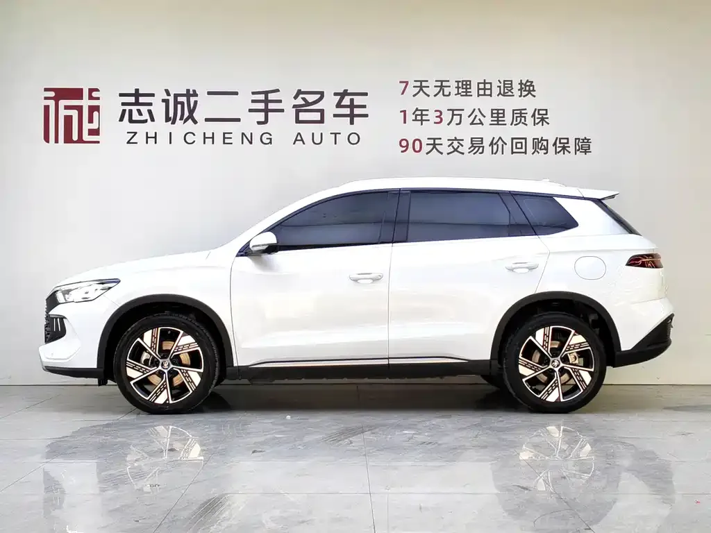 BYD Pro New Energy — фото 3