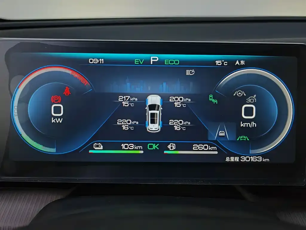 BYD Pro New Energy — фото 7