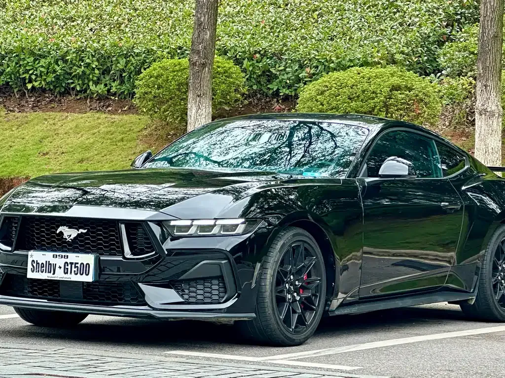 Ford Mustang — фото 1