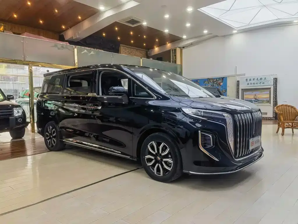 Hongqi HQ9 — фото 3