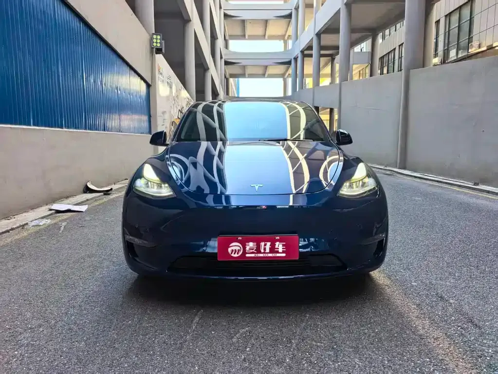 Tesla Model Y — фото 2