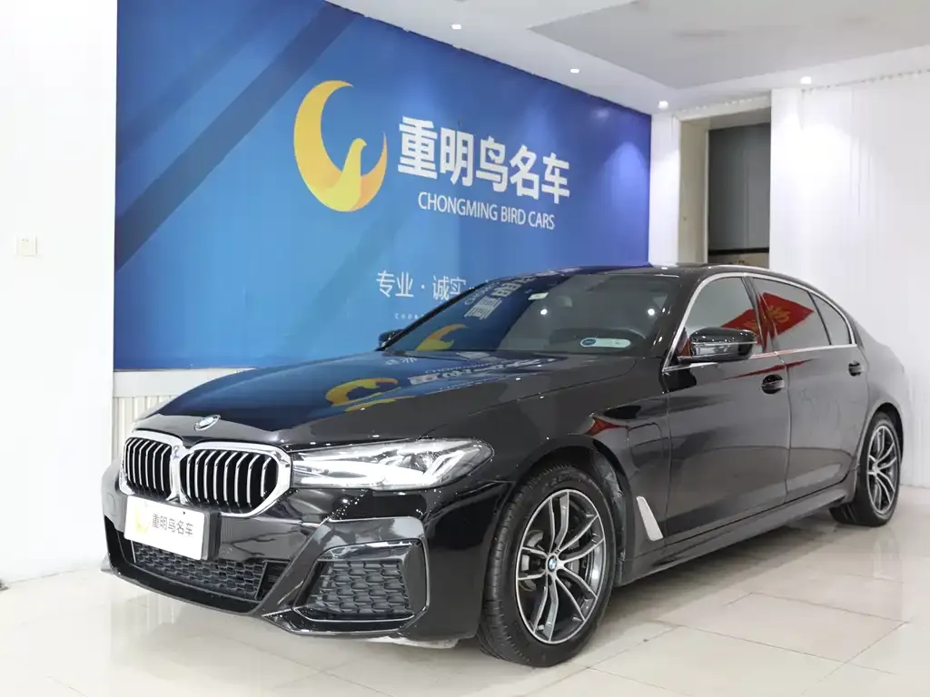 BMW 5 Series New Energy — фото 1