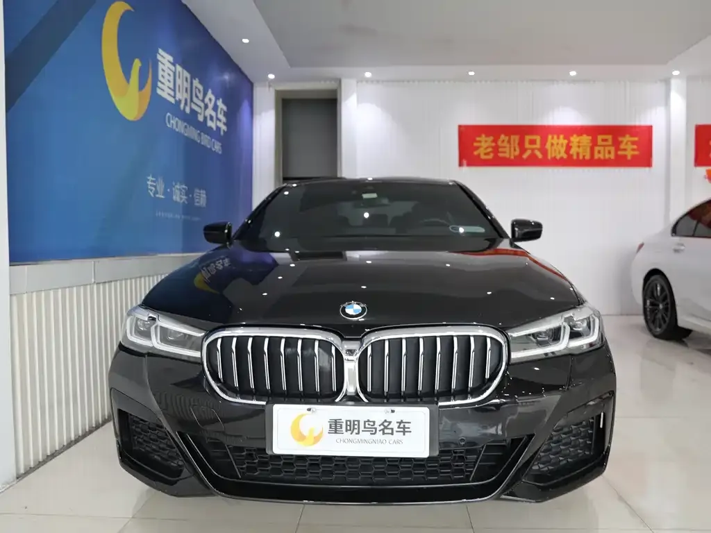 BMW 5 Series New Energy — фото 2