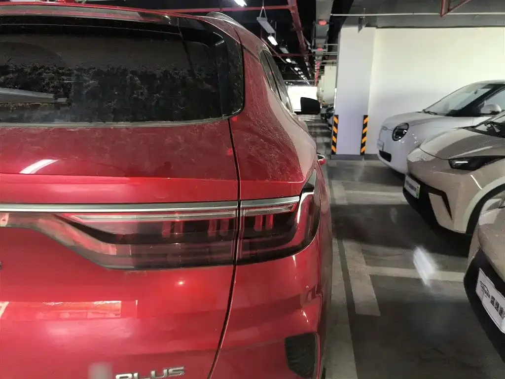 BYD PLUS New Energy — фото 8