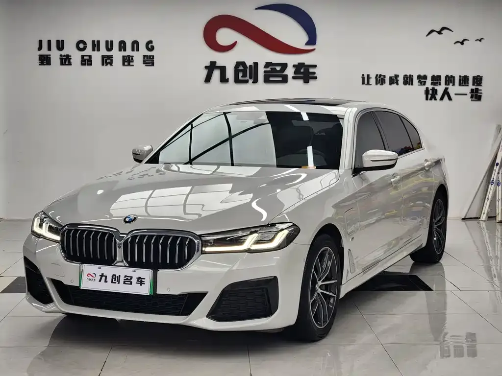 BMW 5 Series New Energy — фото 3